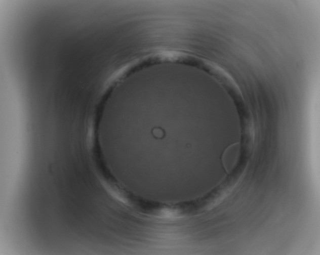 X0000116000496200911251103