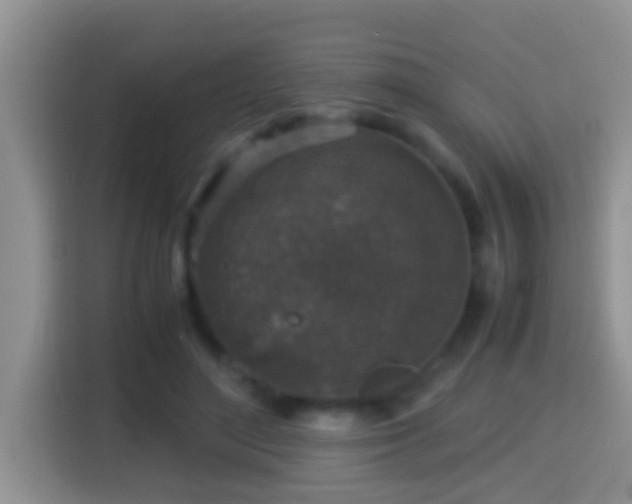 X0000116000500200911251103