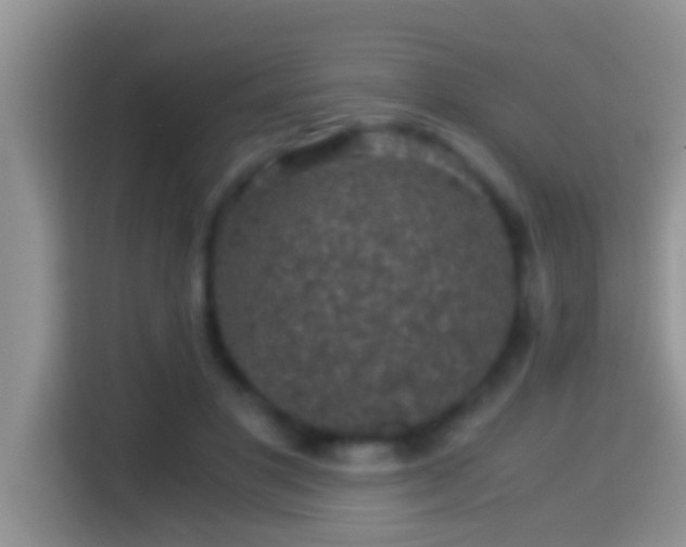 X0000116000501200911251103