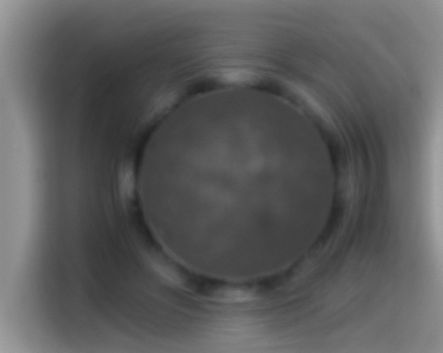 X0000116000502200911251103