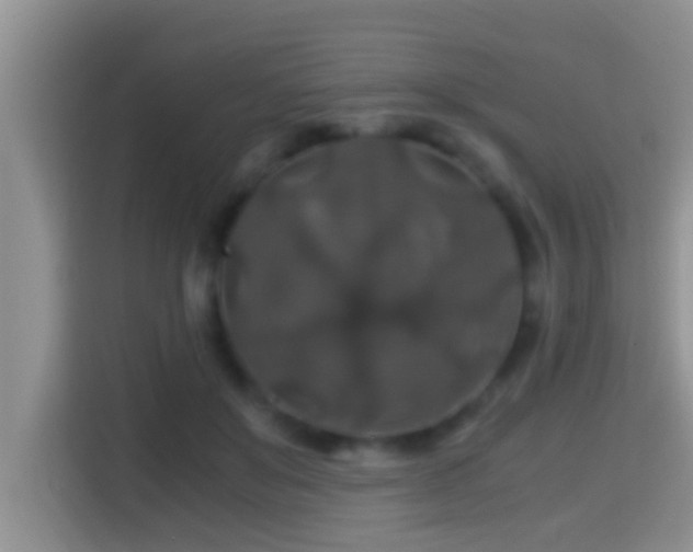 X0000116000503200911251103