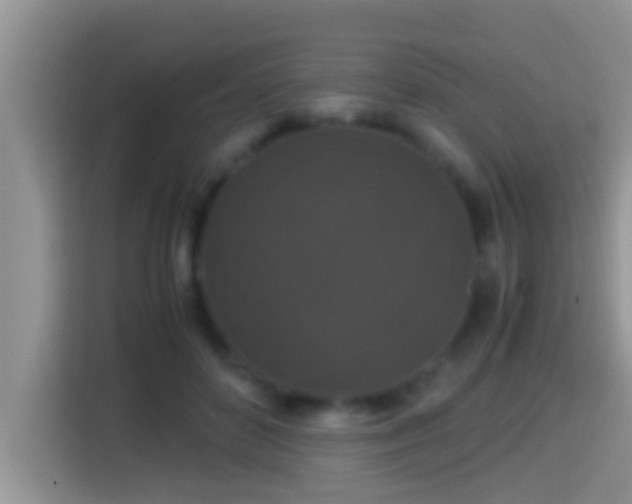 X0000116000504200911251103