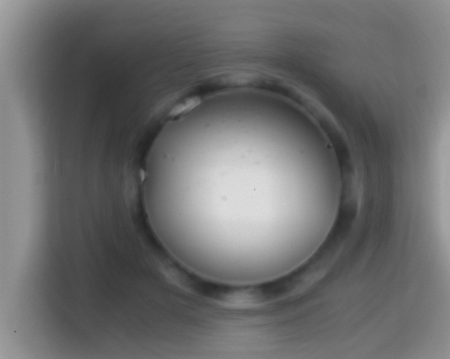 X0000116000505200911251103