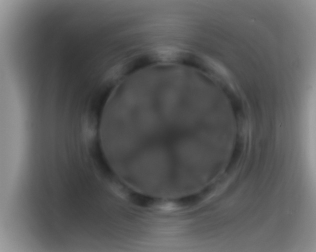 X0000116000507200911251103