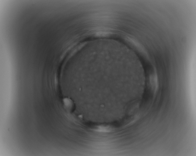 X0000116000508200911251103