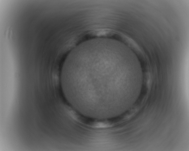 X0000116000510200911251103