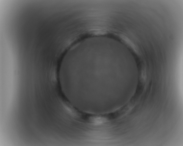 X0000116000512200911251103