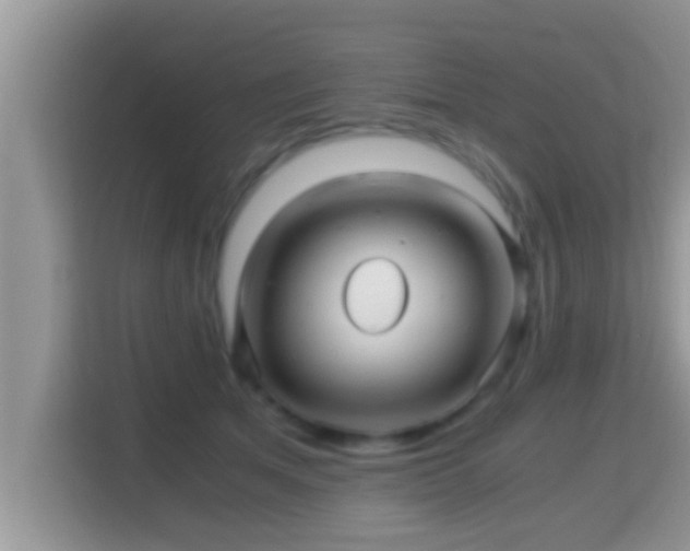 X0000116000513200911251103