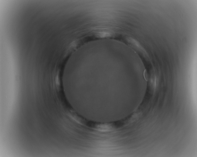 X0000116000516200911251103