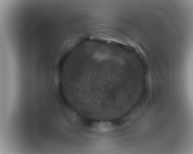 X0000116000517200911251103