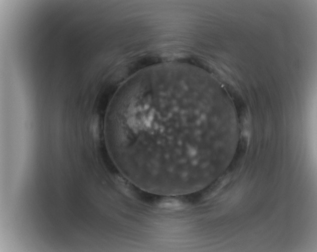 X0000116000519200911251103