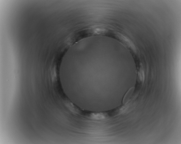 X0000116000520200911251103