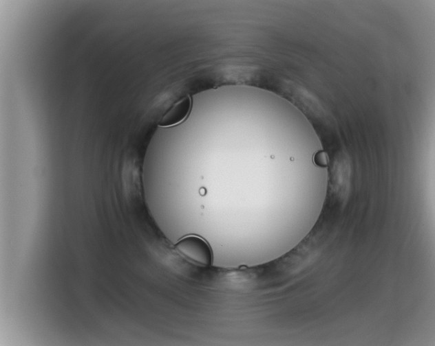 X0000116000522200911251103