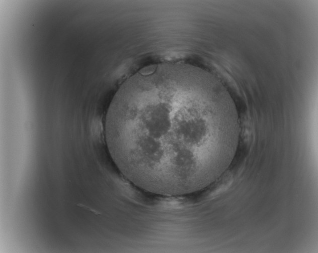 X0000116000523200911251103