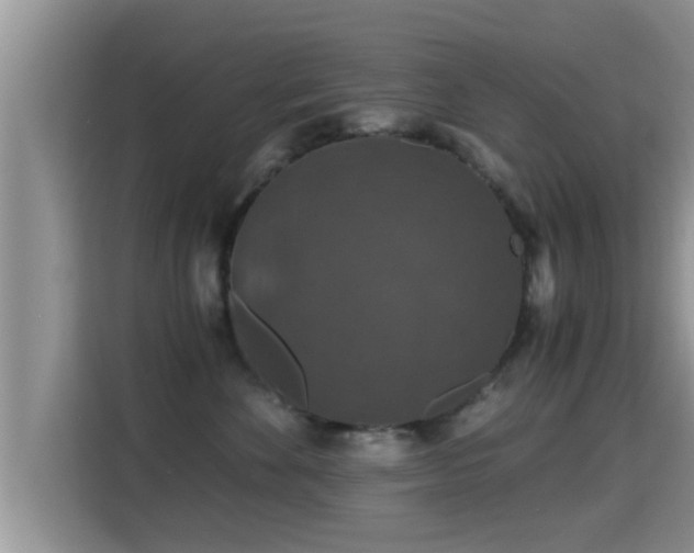 X0000116000524200911251103