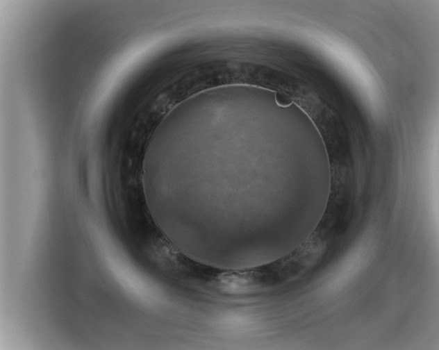 X0000116000526200911251103