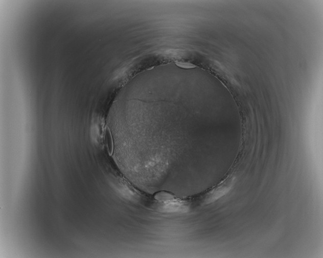 X0000116000528200911251103