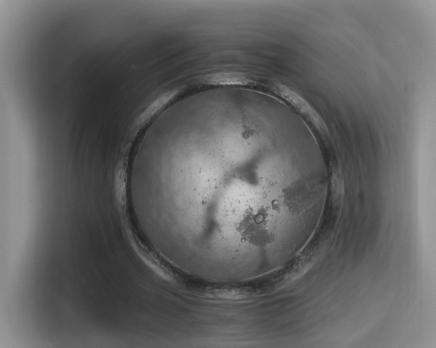 X0000116000533200911251102