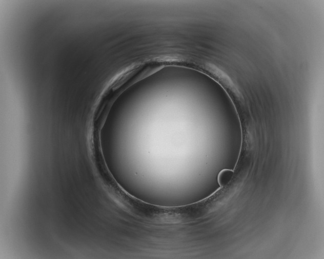 X0000116000535200911251102