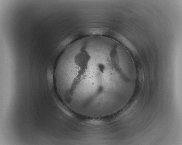 X0000116000537200911251102