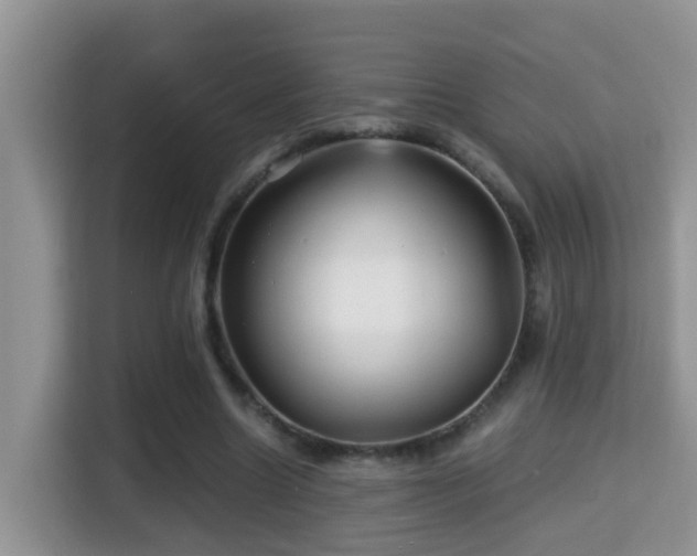 X0000116000538200911251102