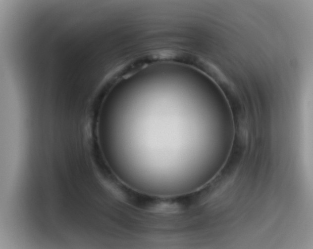 X0000116000543200911251102