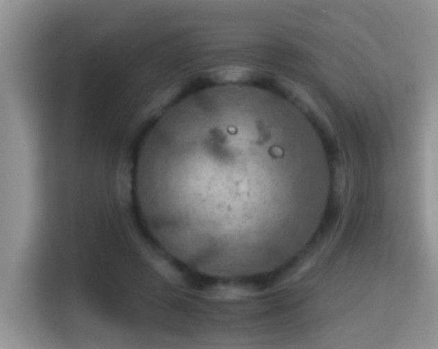 X0000116000545200911251102