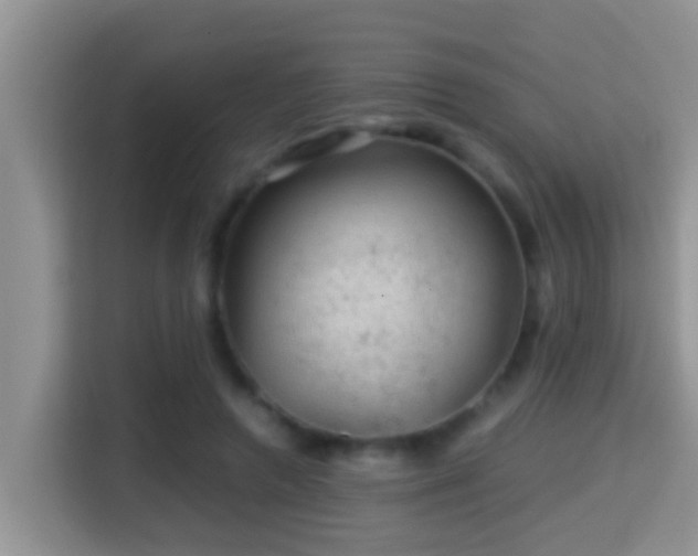 X0000116000546200911251102