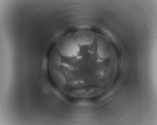 X0000116000550200911251102