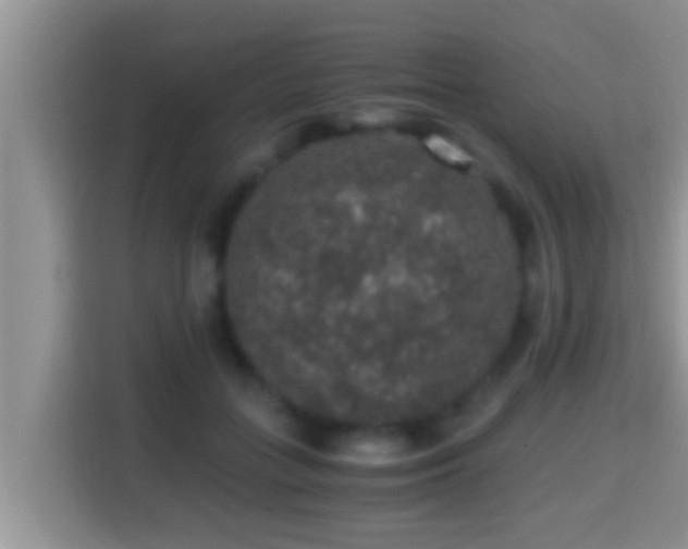 X0000116000555200911251102