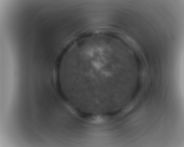 X0000116000558200911251102