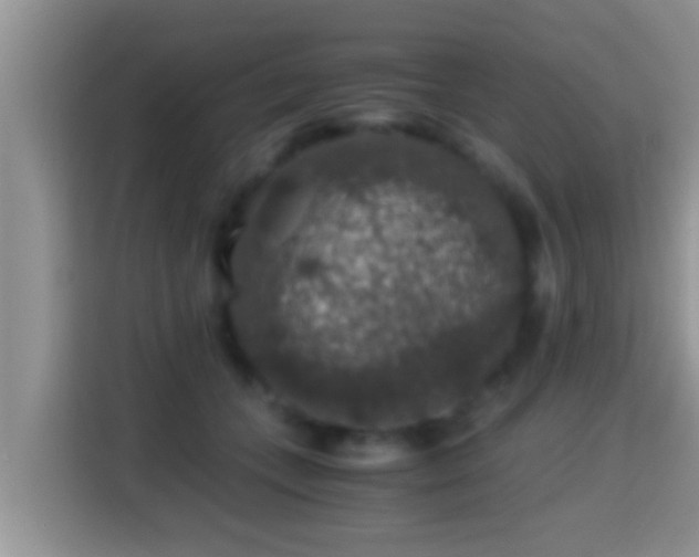 X0000116000559200911251102