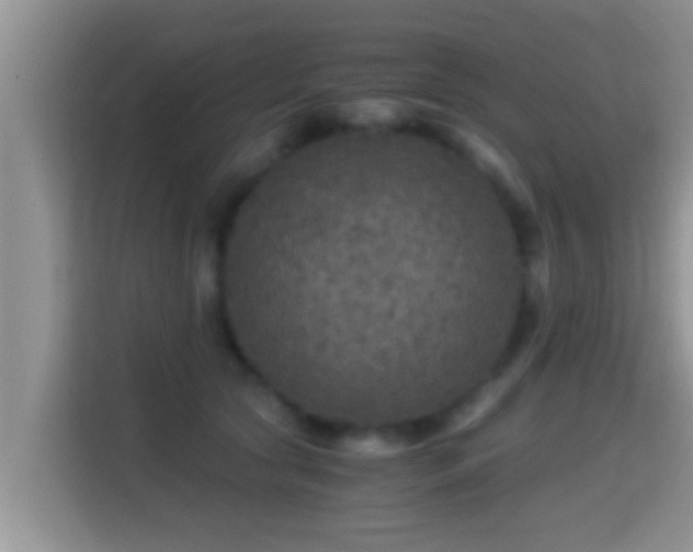 X0000116000561200911251102