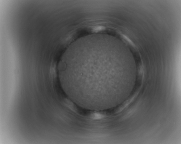 X0000116000565200911251103