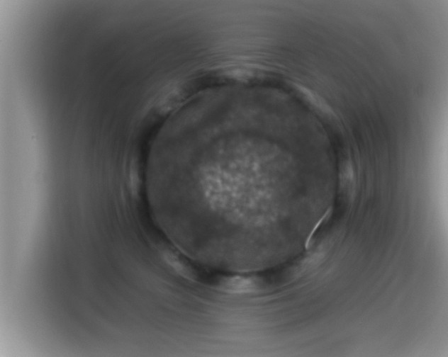 X0000116000566200911251103