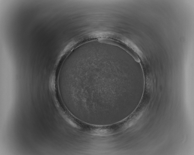 X0000116000581200911251102