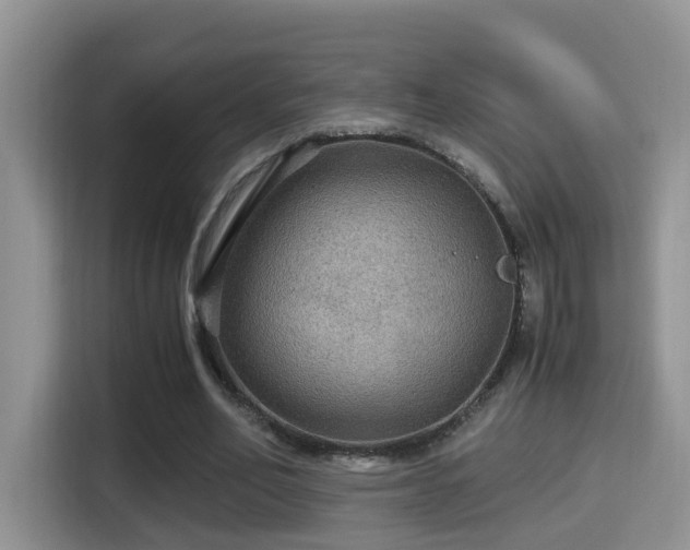 X0000116000582200911251102