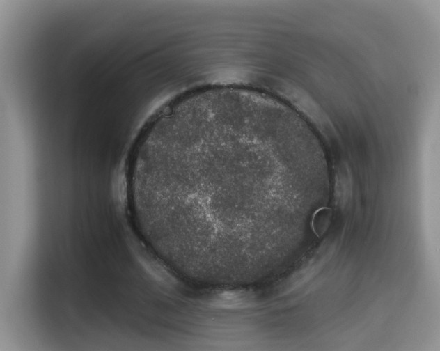 X0000116000584200911251102