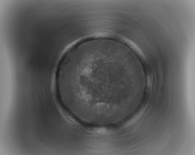 X0000116000588200911251102