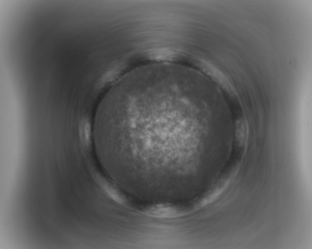 X0000116000589200911251102