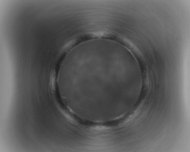 X0000116000590200911251102