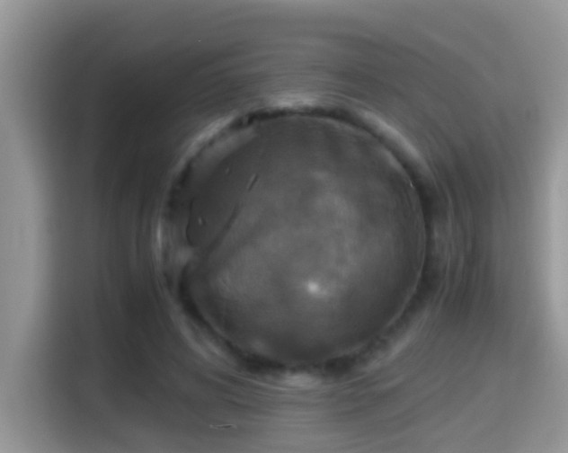 X0000116000592200911251102