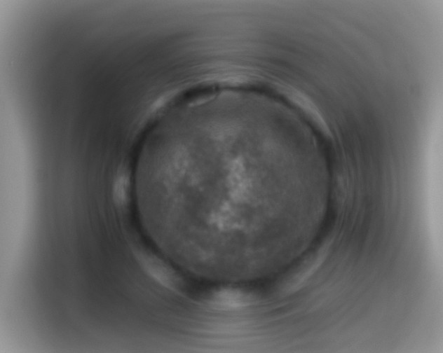 X0000116000596200911251102