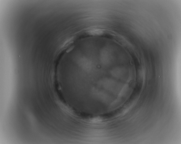 X0000116000600200911251102