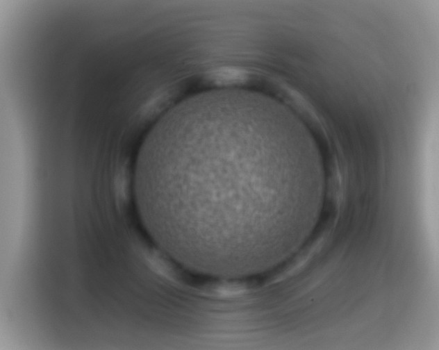 X0000116000604200911251102