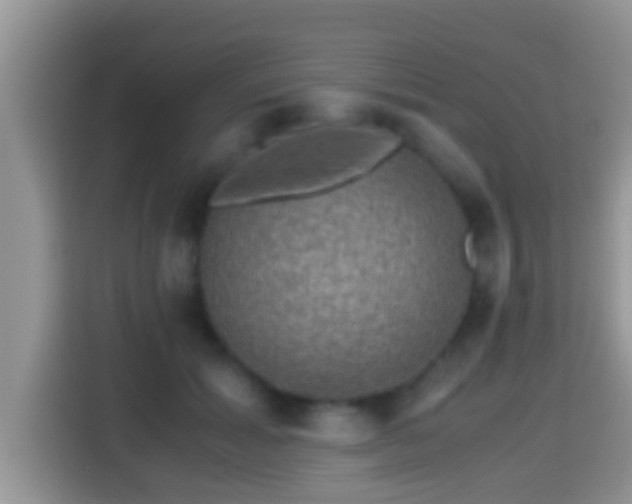 X0000116000605200911251102