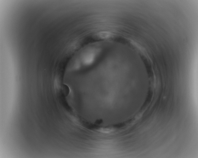 X0000116000606200911251102