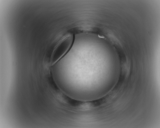 X0000116000609200911251102