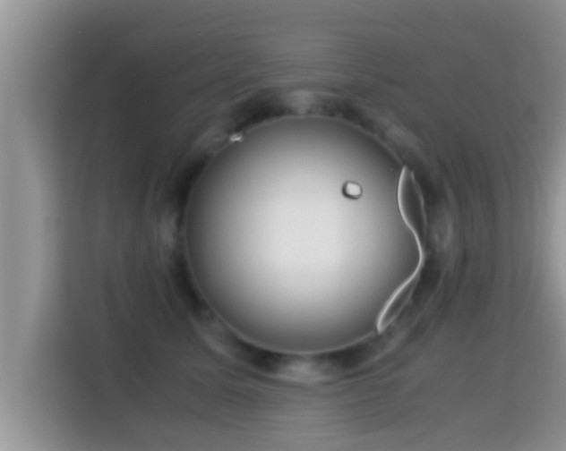 X0000116000611200911251102