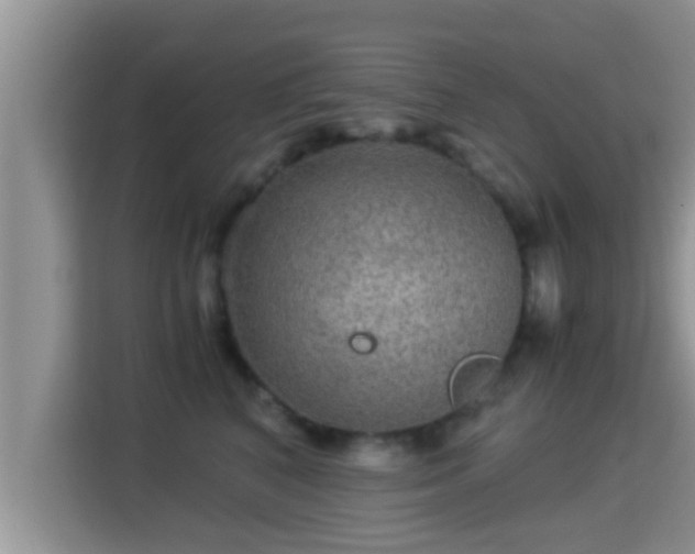 X0000116000616200911251101